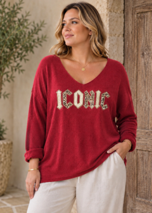 Pull fin iconic léopard bordeaux belle taille
