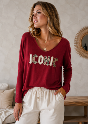 Pull fin iconic léopard bordeaux